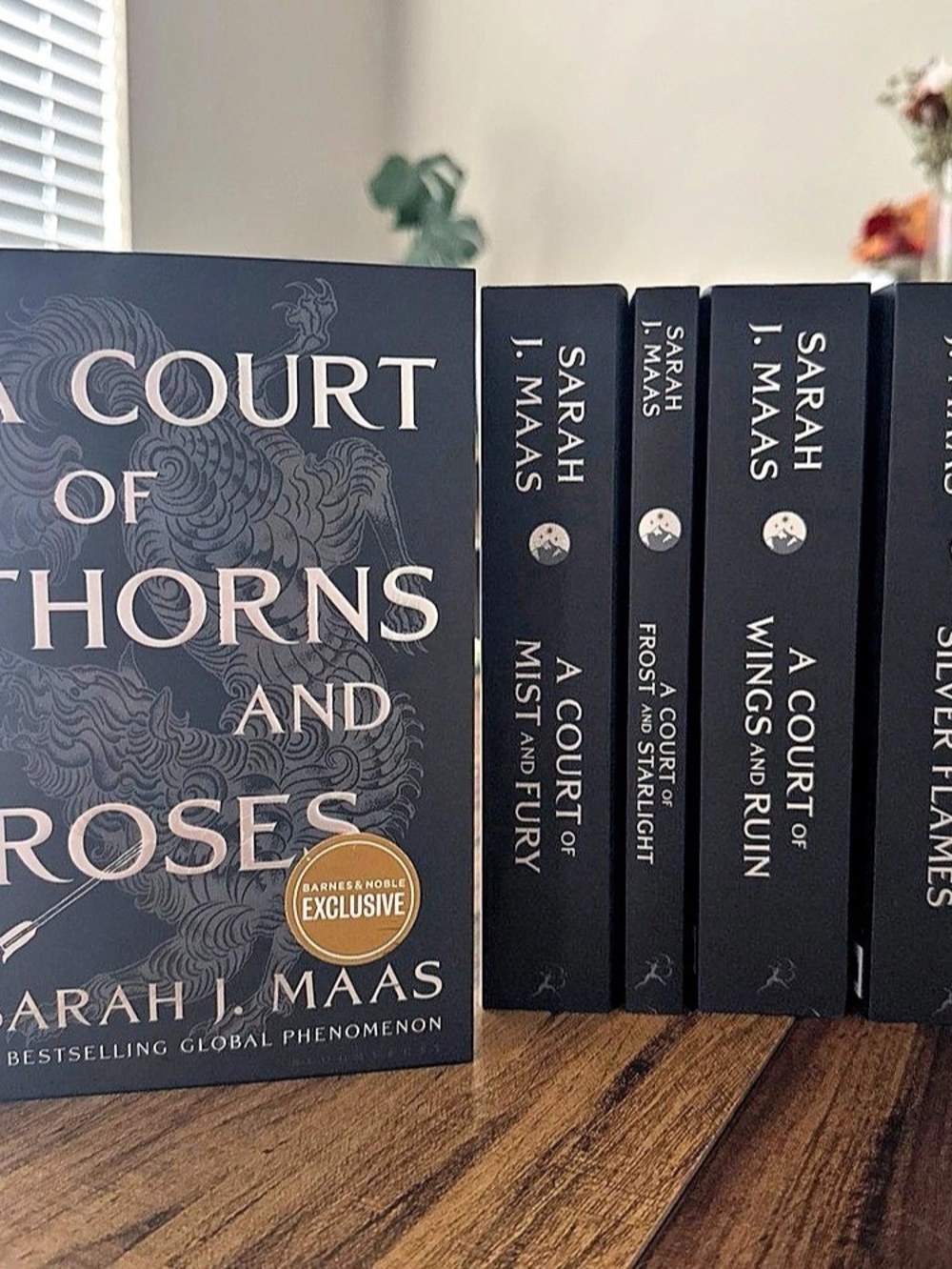 Barnes & Noble / Bloomsbury A Court of Thorns and Roses Series Barnes & Noble